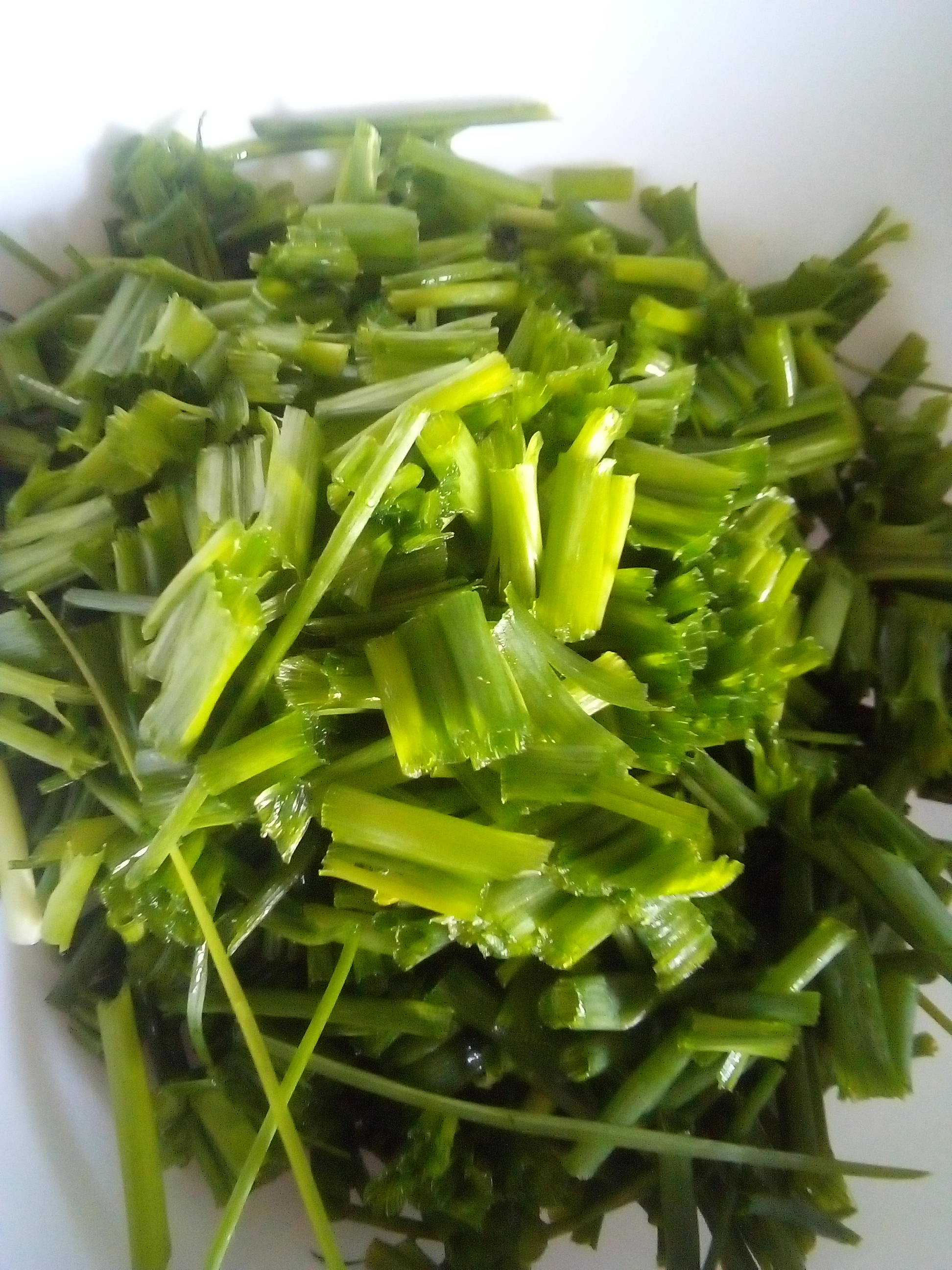 Fresh regrowth of chives after being harvested