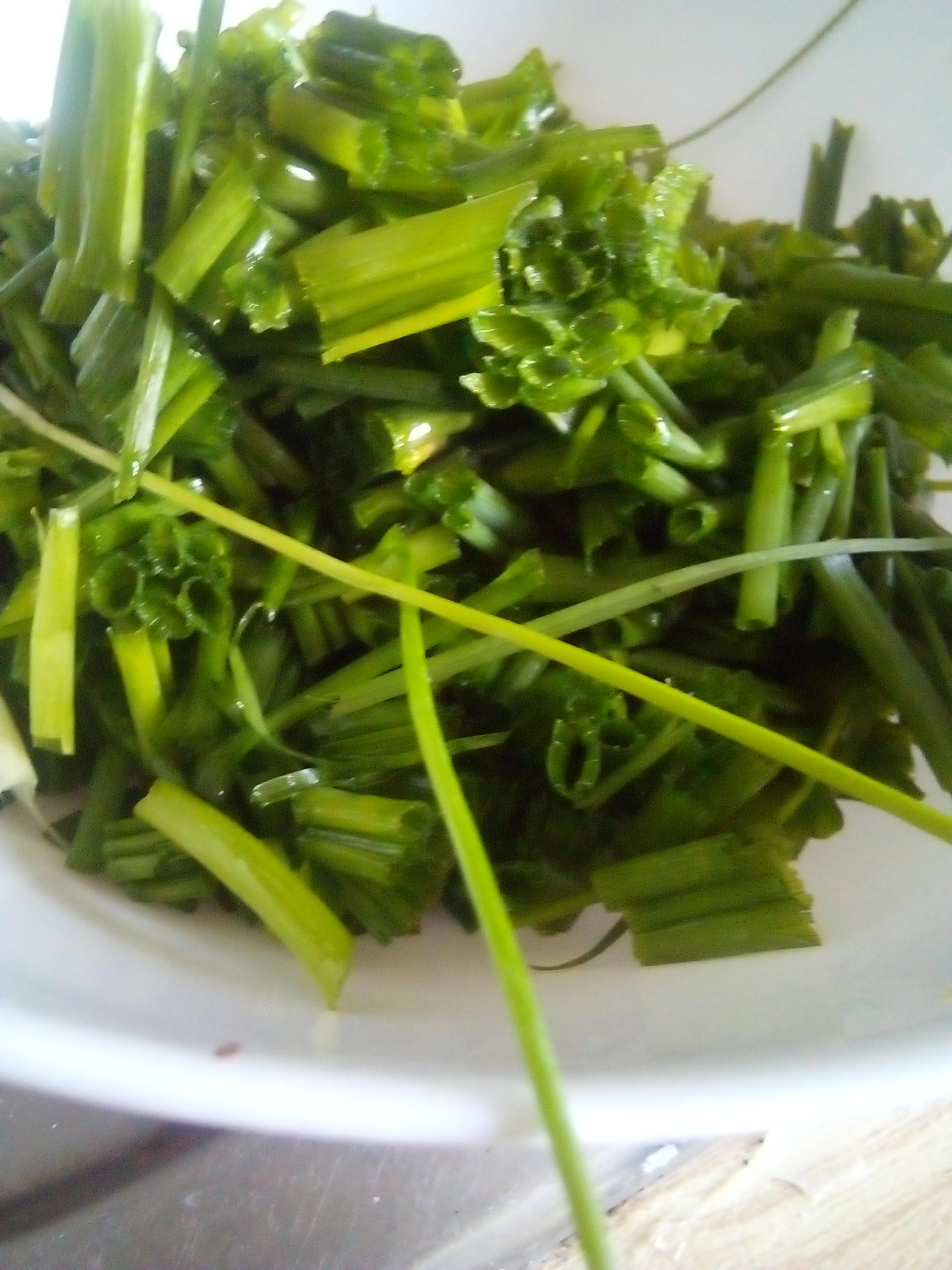Purple chive blossoms blooming among green stalks