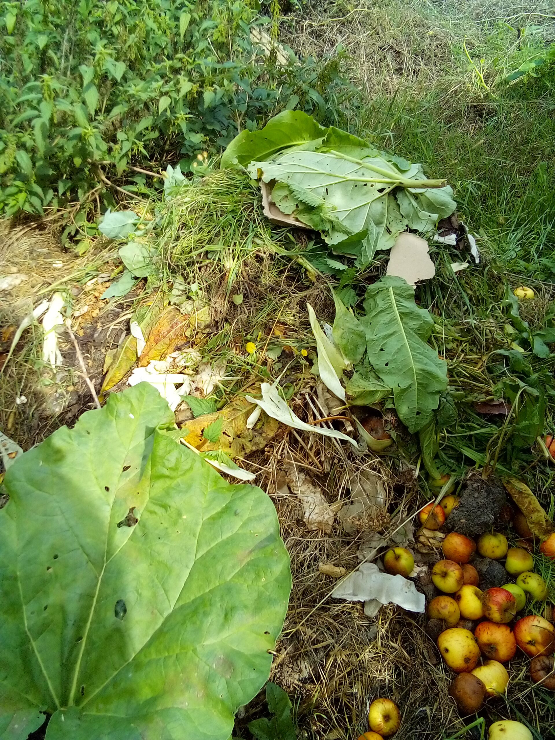 Learning how to start a compost pile is the first step toward turning everyday kitchen scraps into rich, living soil.