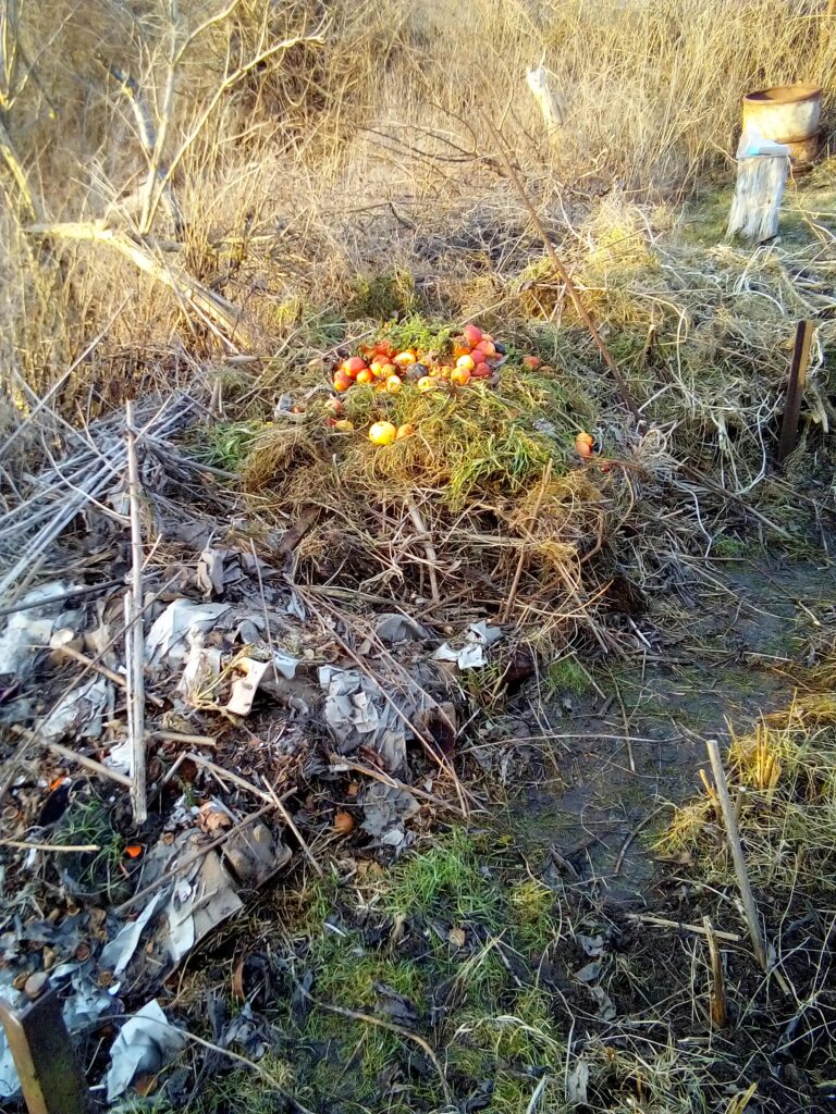 Beginner learning how to start composting with kitchen scraps and garden waste in a simple home compost pile