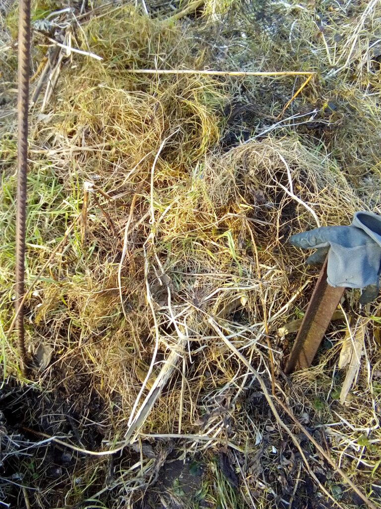 Layers of greens and browns in a compost pile demonstrating step by step how to start composting