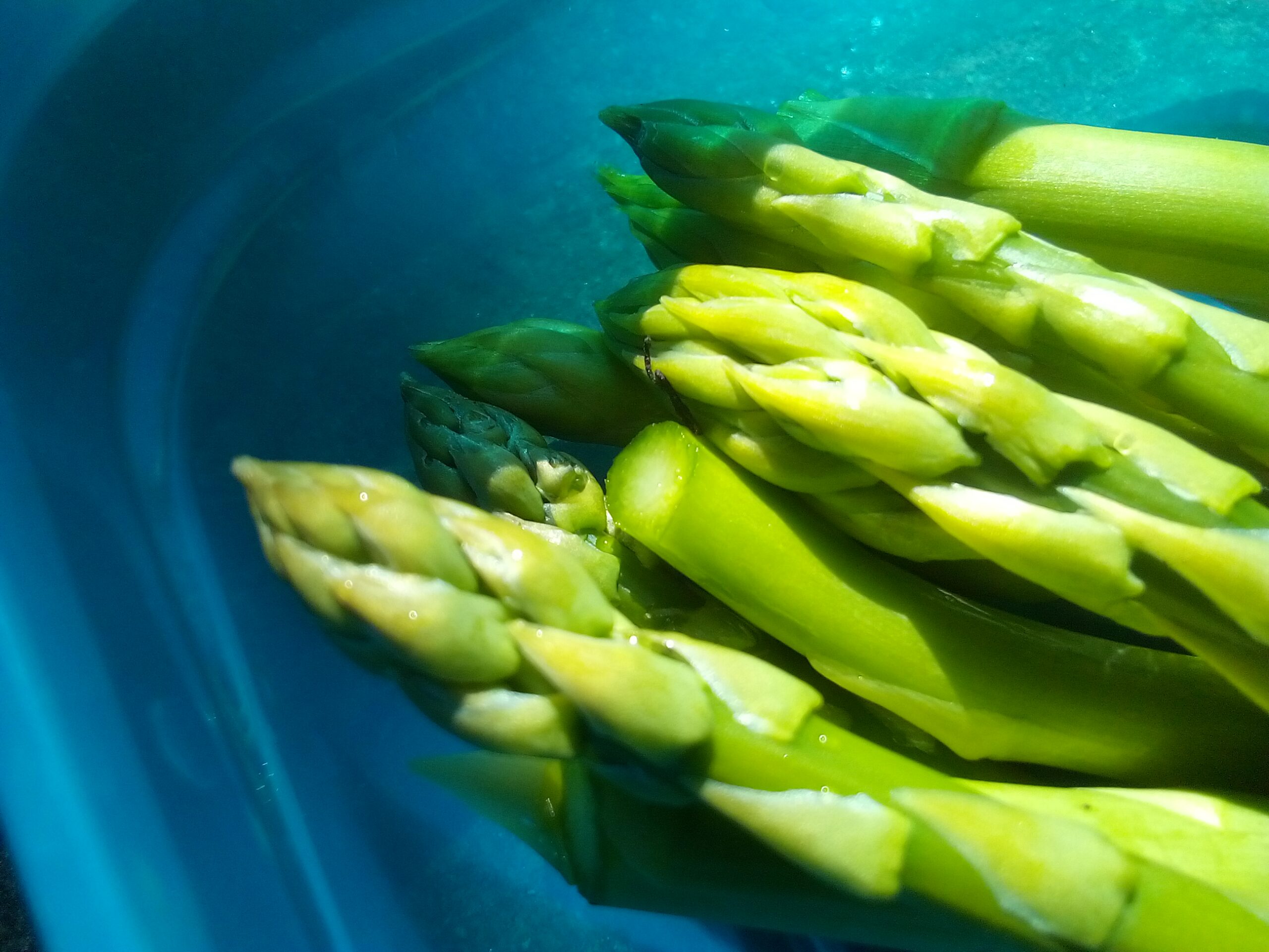 Green Asparagus for Gut Health: A Natural Prebiotic for Better Digestion