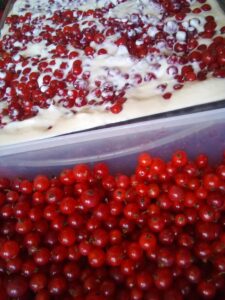 Cheesecake with red currants served outdoors on a homestead table.