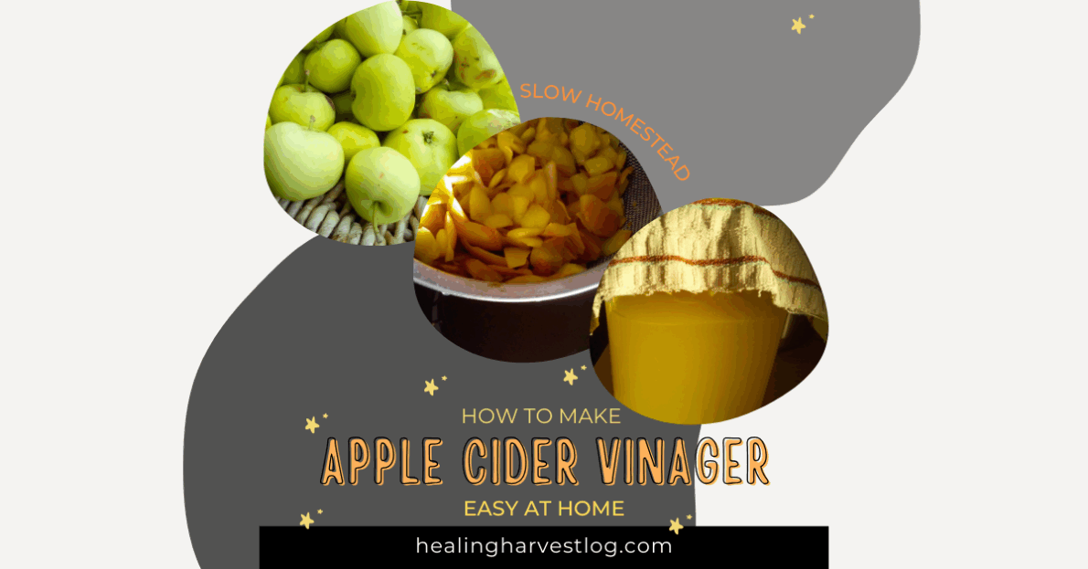 How to Make Apple Cider Vinegar at Home – Sugar-Free