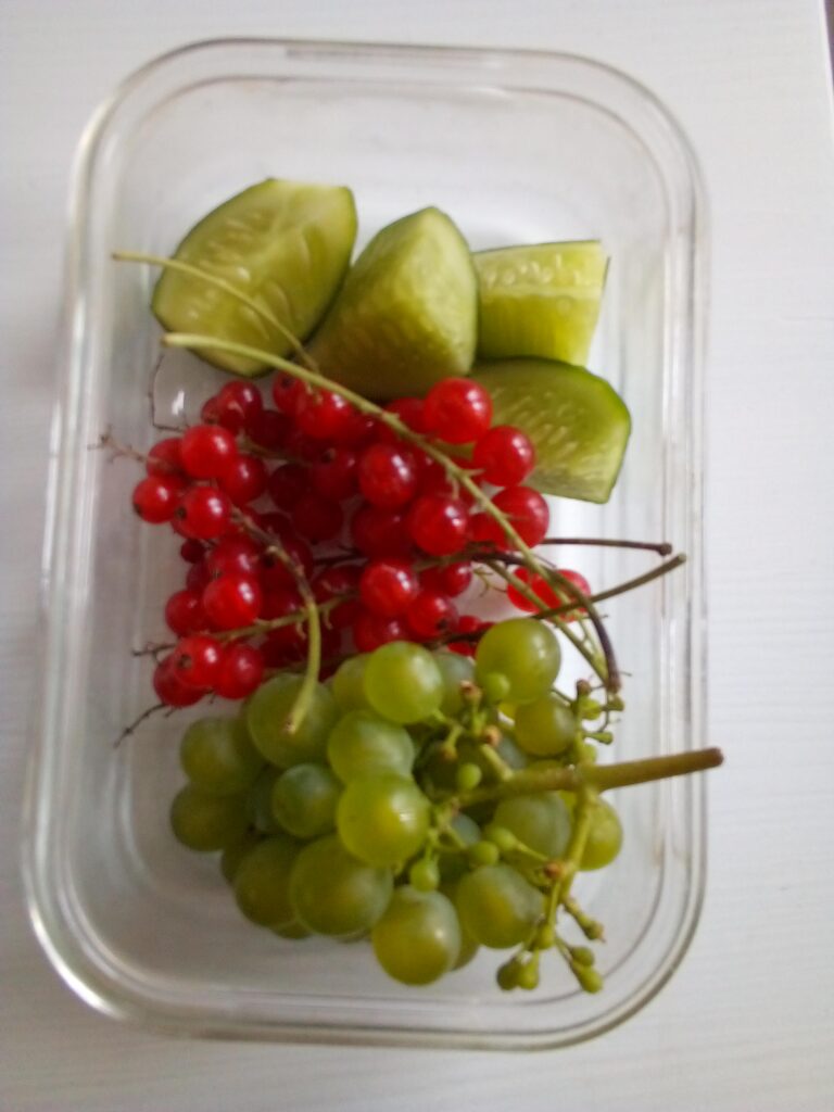 Juicing berries naturally at home without a machine using simple homestead methods