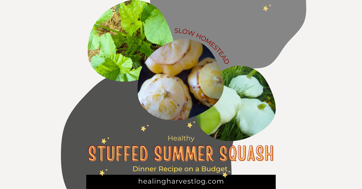 Stuffed Summer Squash – Healthy Dinner Recipe on a Budget