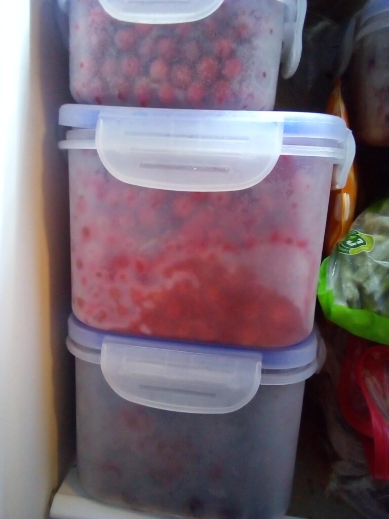 Preserving vegetables with traditional homestead methods like fermenting, freezing, and drying