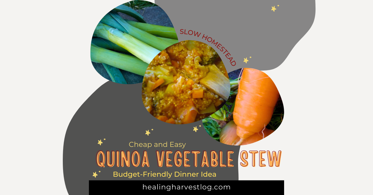 One-pot quinoa stew cooked with leek, carrots, potato and tomato paste for quinoa vegetable stews