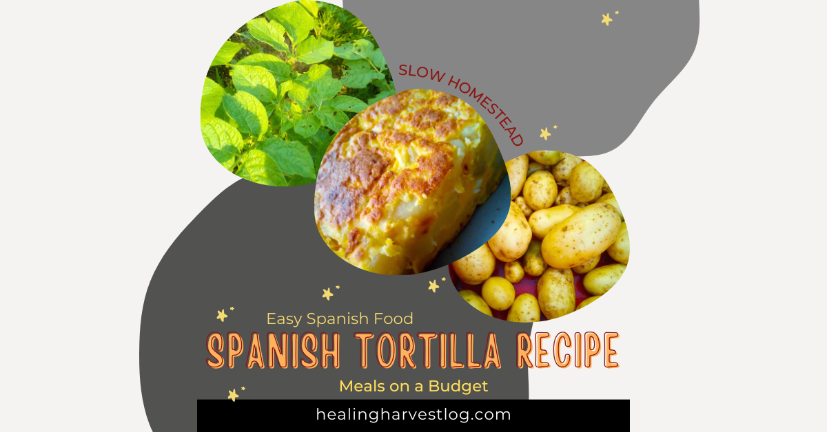 Spanish Tortilla Recipe – Easy Spanish Food on a Budget
