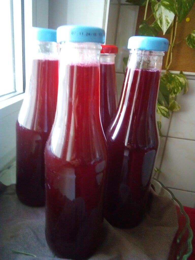 Urban homesteading food preservation with jars of vegetables and herbs in a small city kitchen