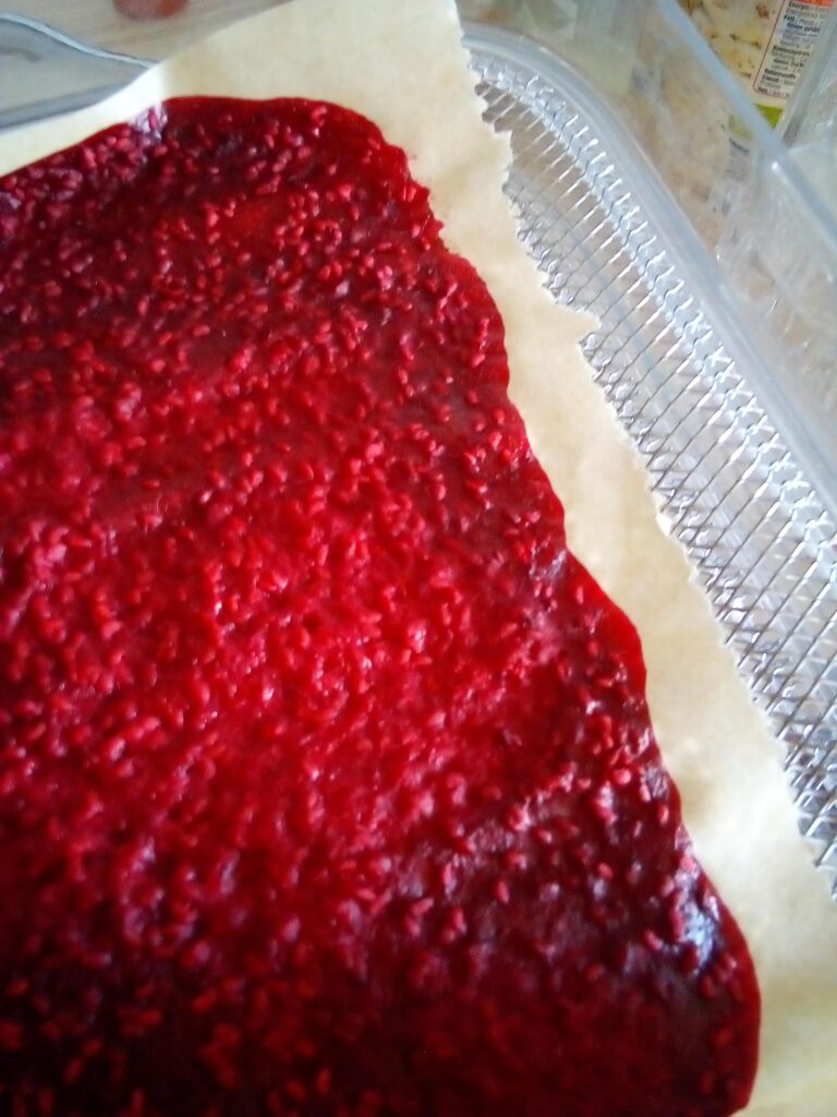 Freshly harvested berries blended for easy fruit leather recipe.