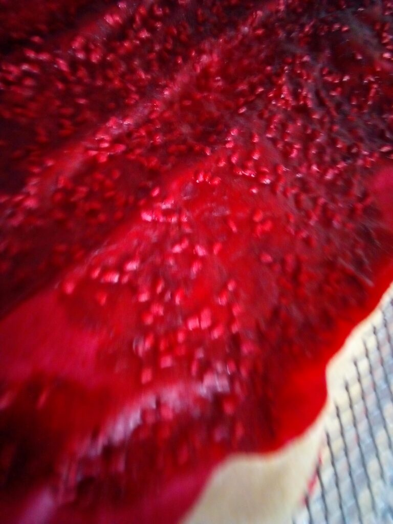 Rolled sugar-free fruit leather on a rustic wooden board.