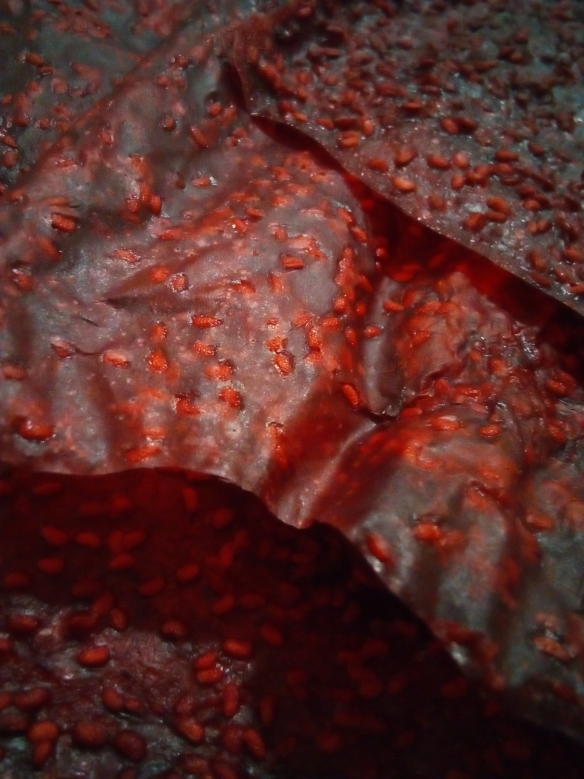 Smooth fruit leather strips made with corn syrup for texture.