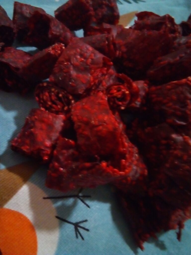 Raspberry puree spread on parchment paper cut to fit dehydrator tray.