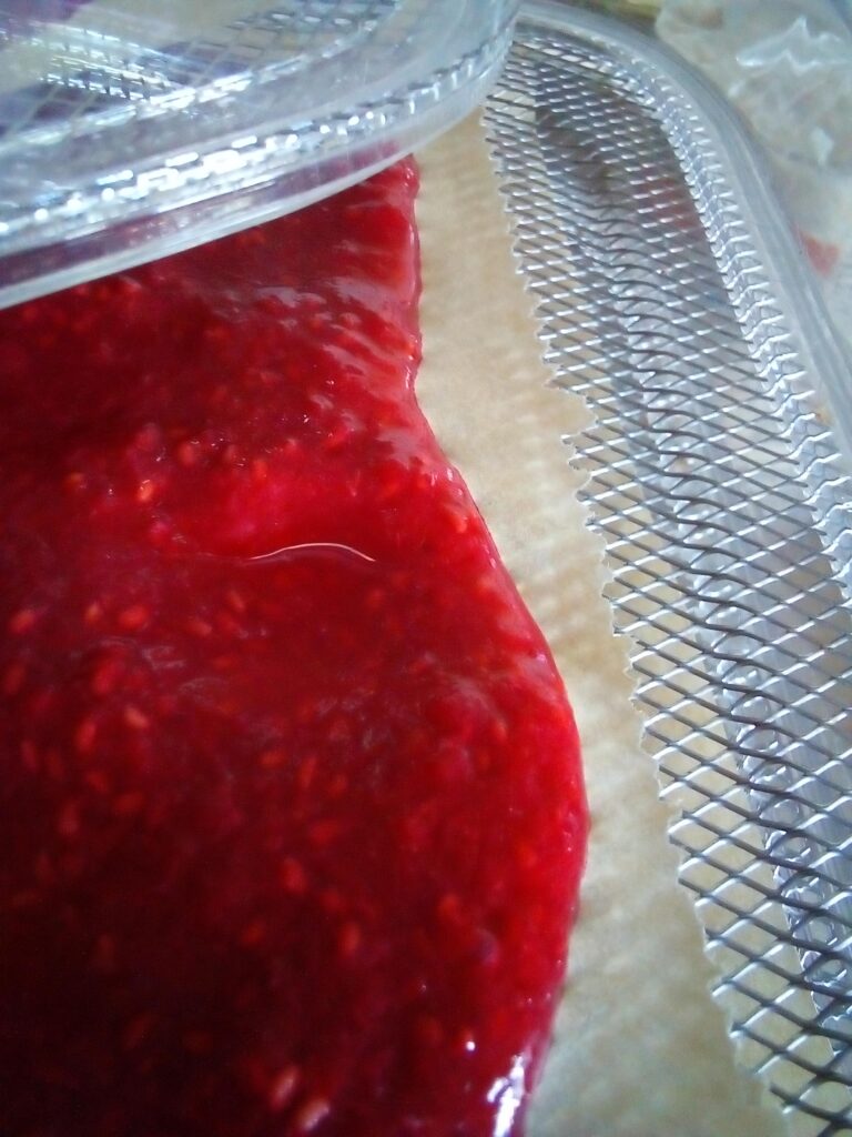 Raspberry puree spread on parchment paper cut to fit dehydrator trays.