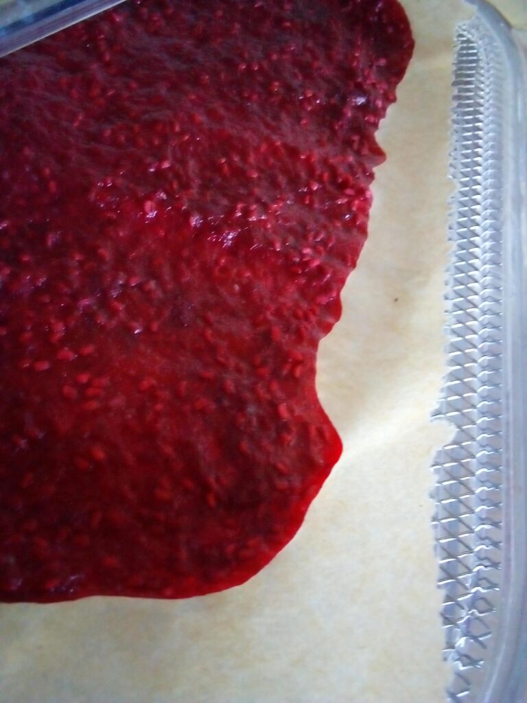 Fruit leather stored in glass jars, fridge, and freezer bags.