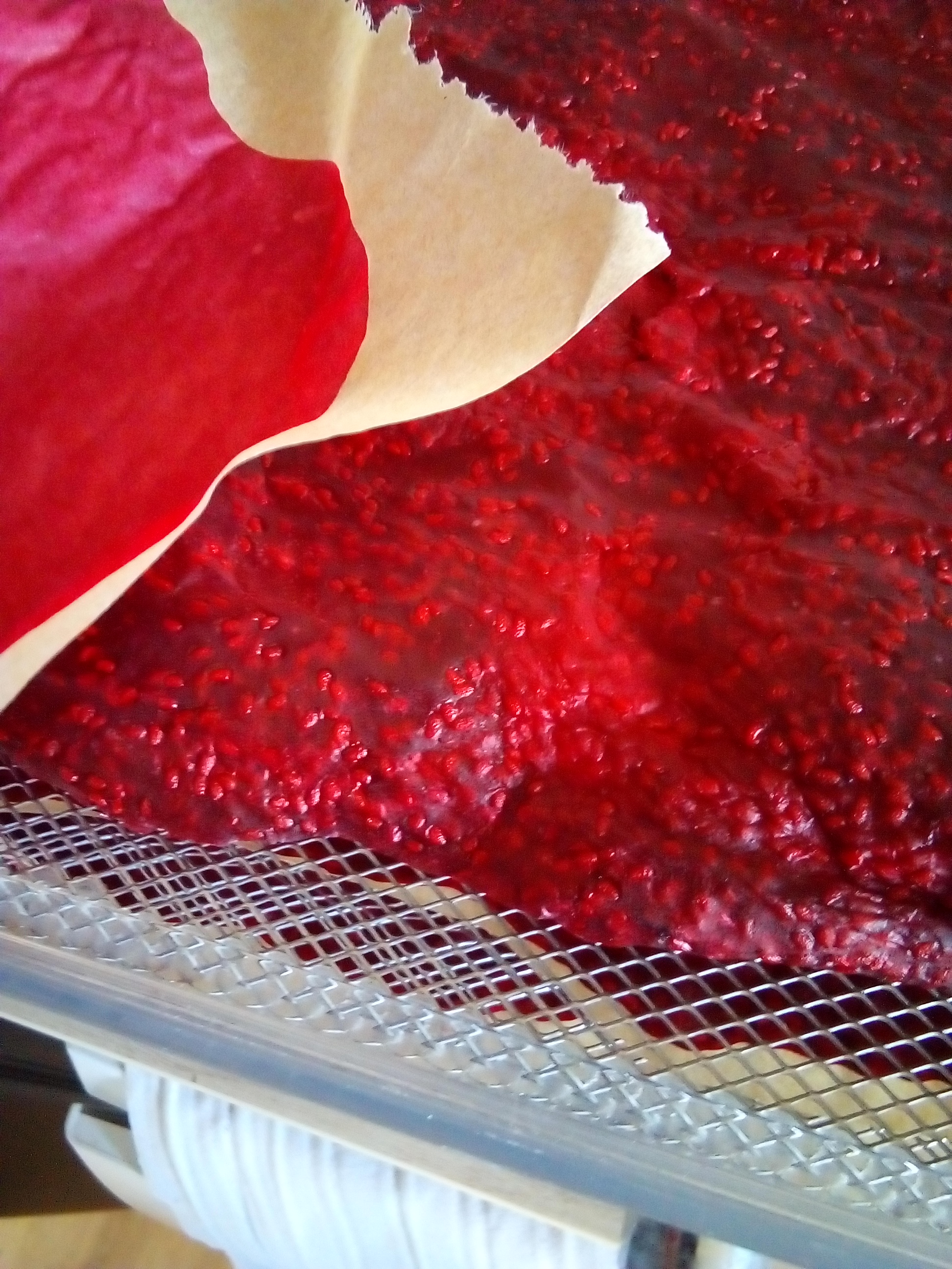 Dark red fruit leather made from garden berries without added sugar.