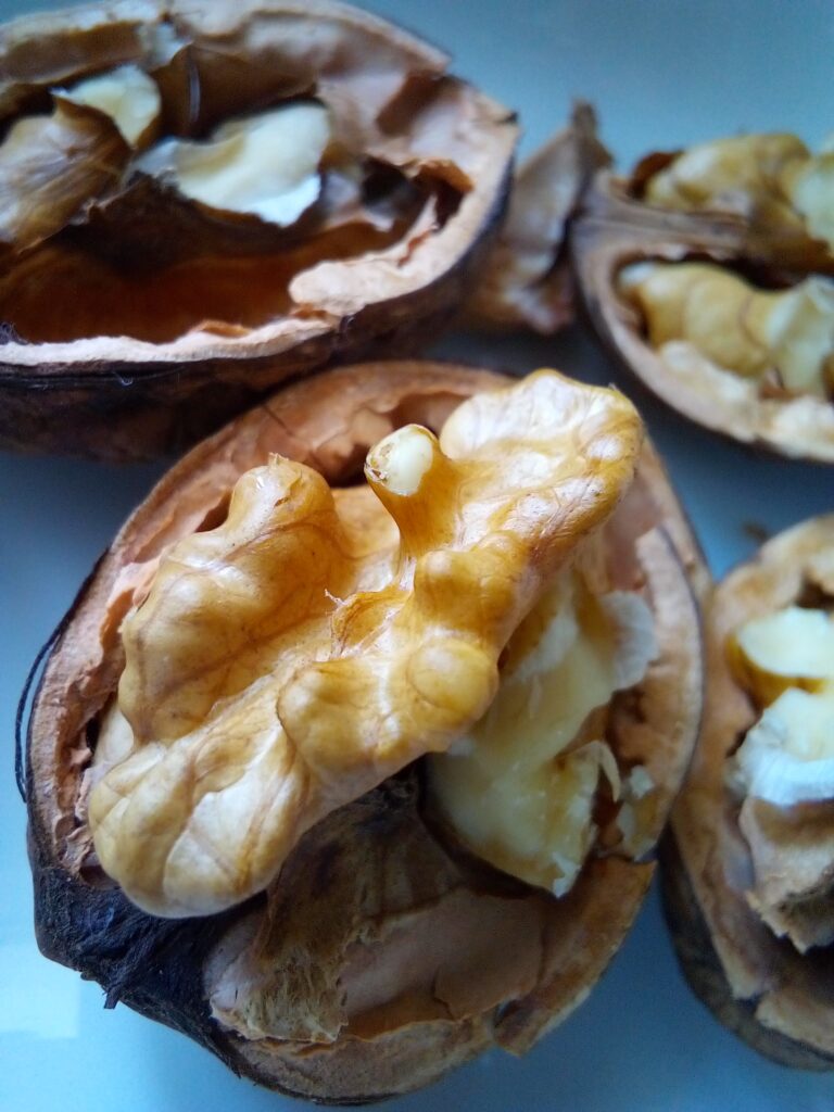 Walnut Recipes Healthy: Fresh Walnut Pesto