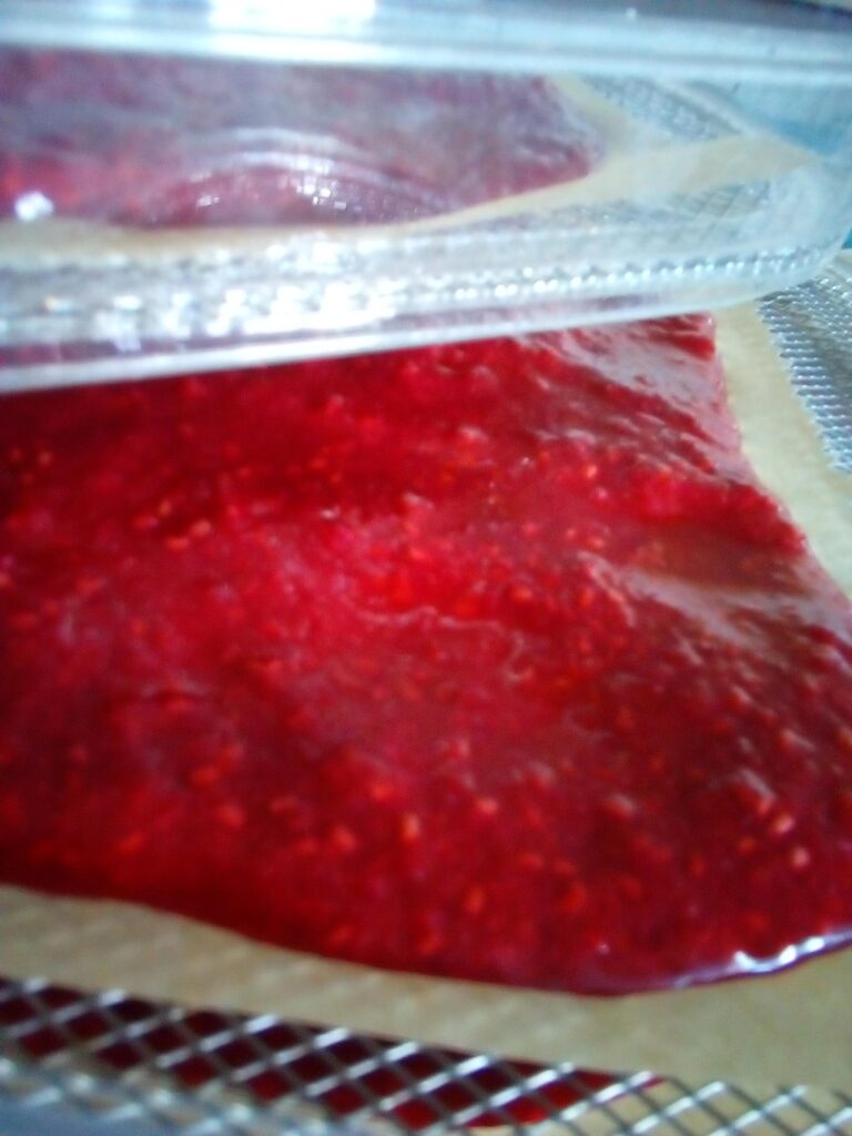 Homemade no sugar added raspberry fruit leather strips from dehydrator.
