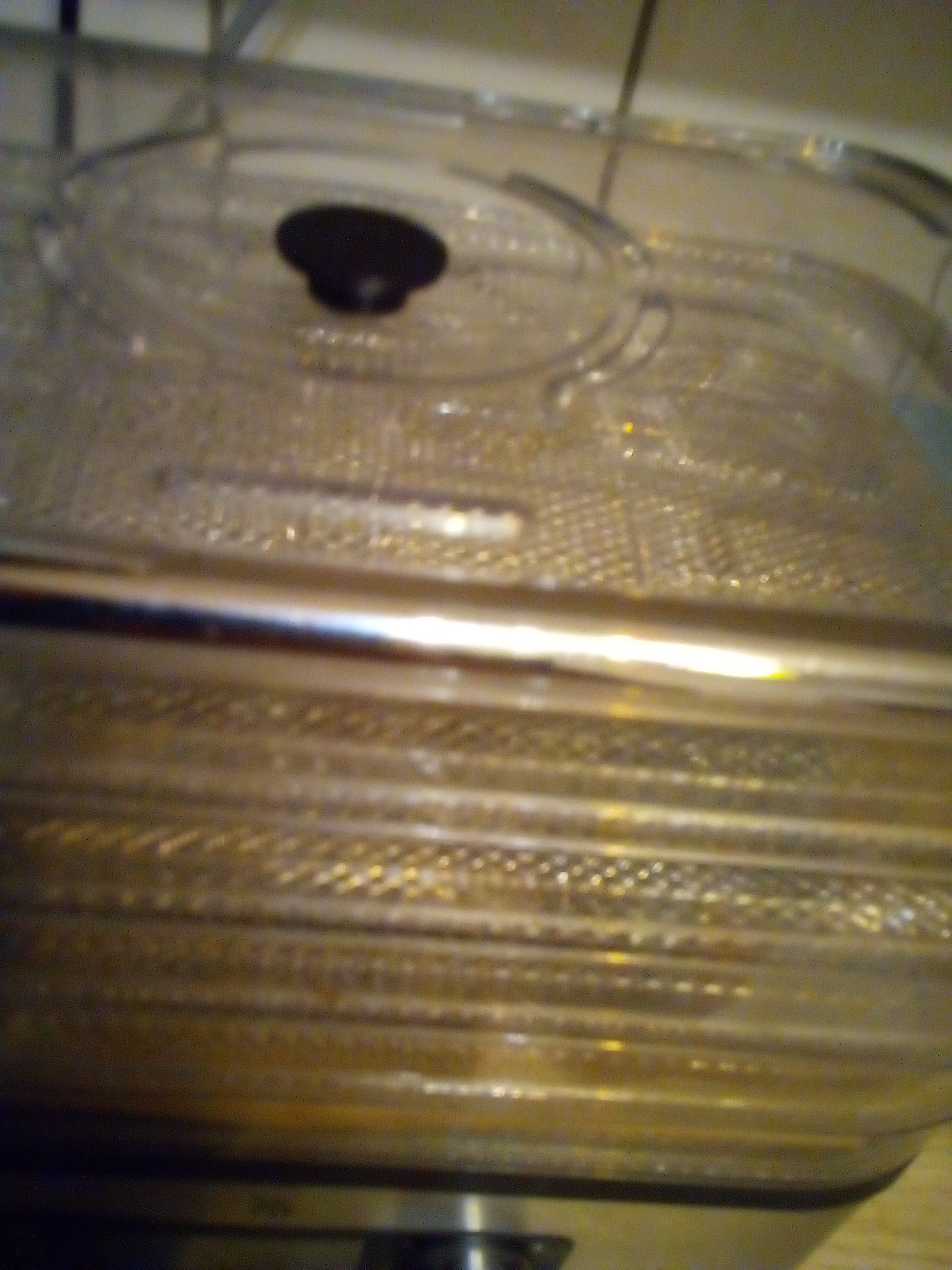 Food dehydrator set to 135 °F drying raspberry fruit puree.