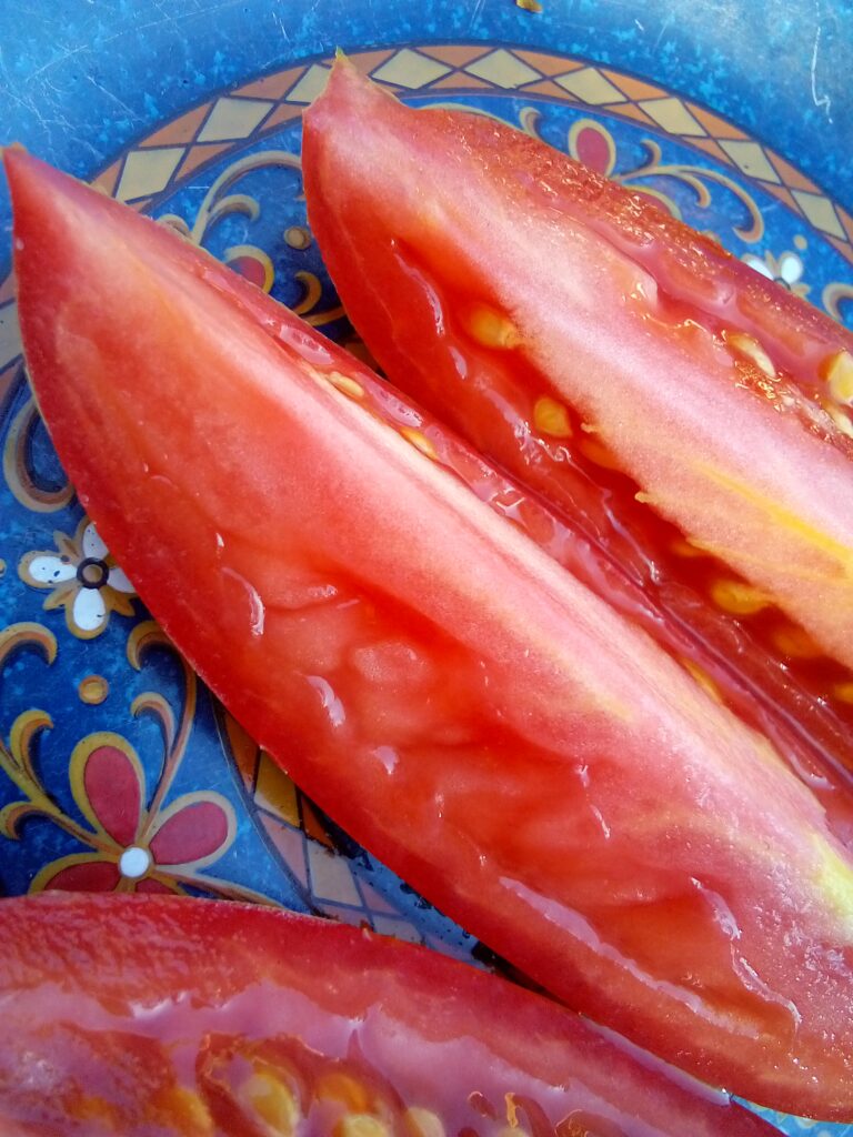 Collecting tomato seeds from ripe tomatoes in kitchen