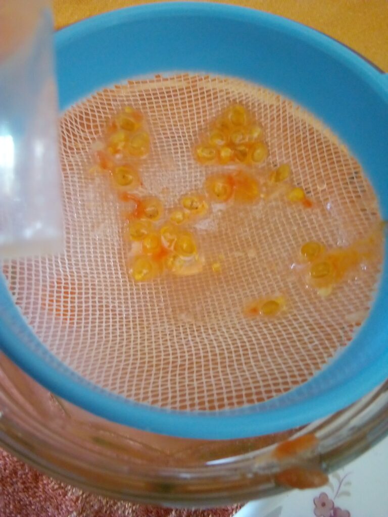 Tomato salad without onions with seeds set aside to dry