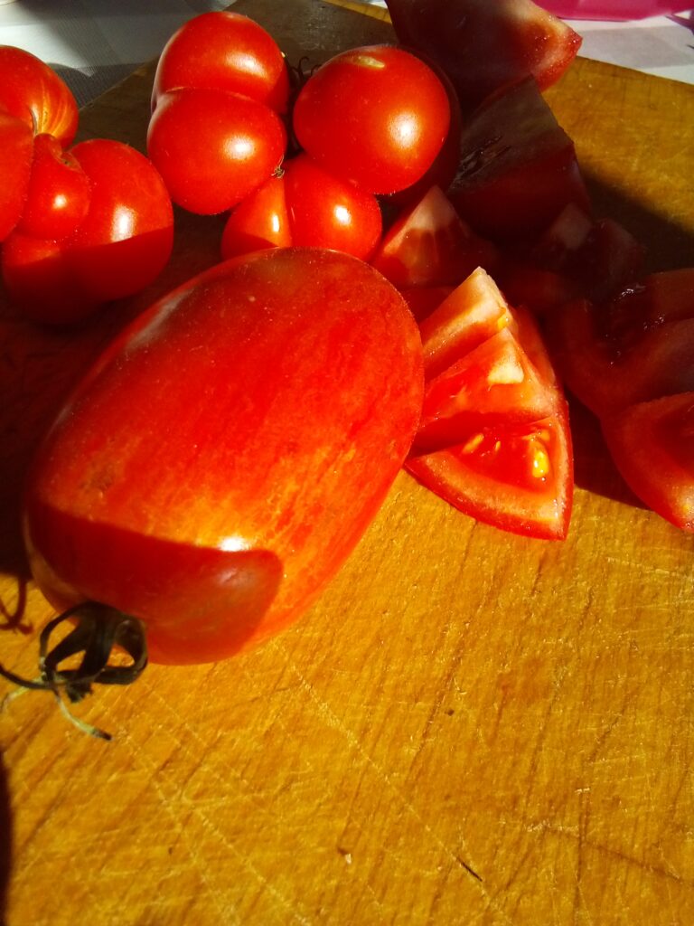 DIY tomato seeds drying on paper towel after harvest