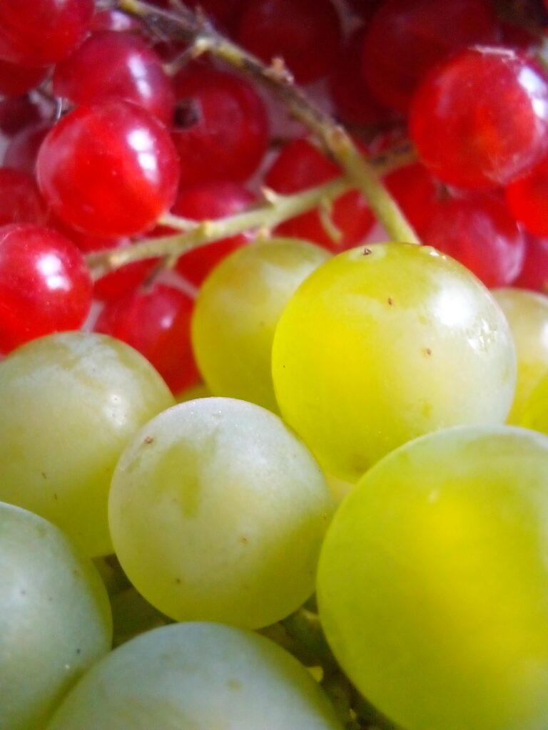 Homemade currant and gooseberry juice ready for winter storage.