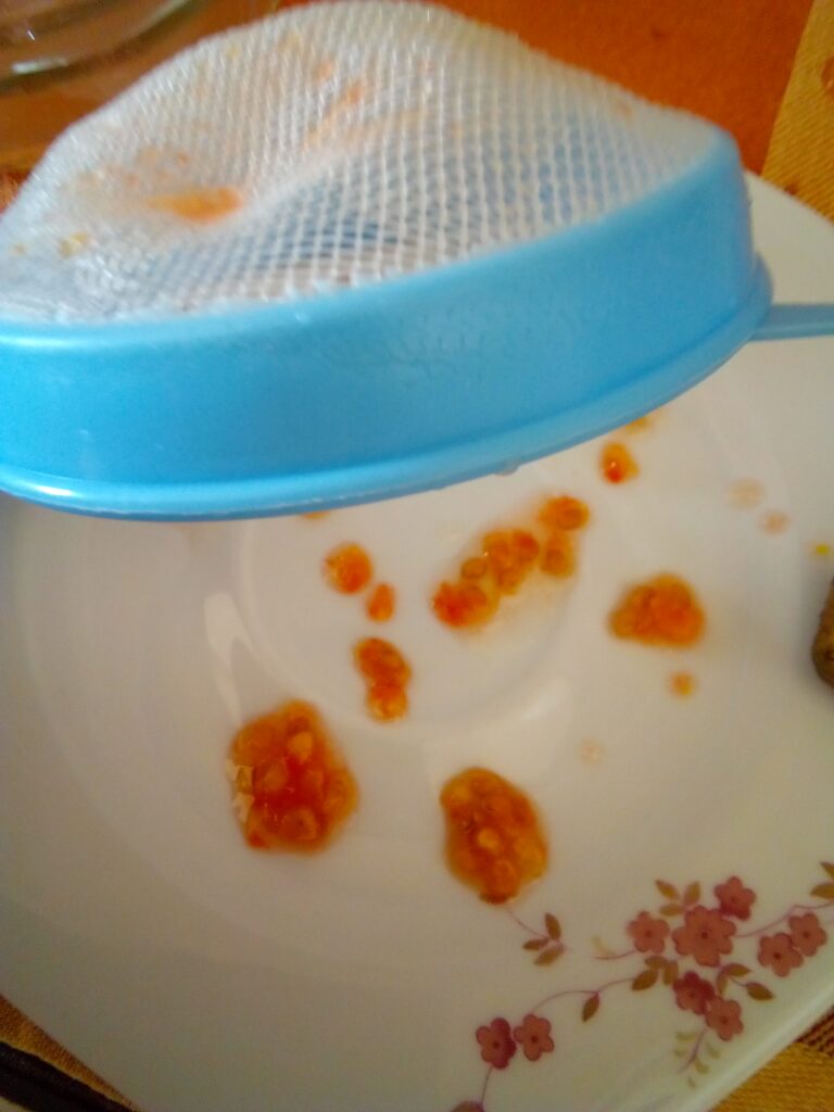 Tomato seeds drying quickly on paper towel in sunlight