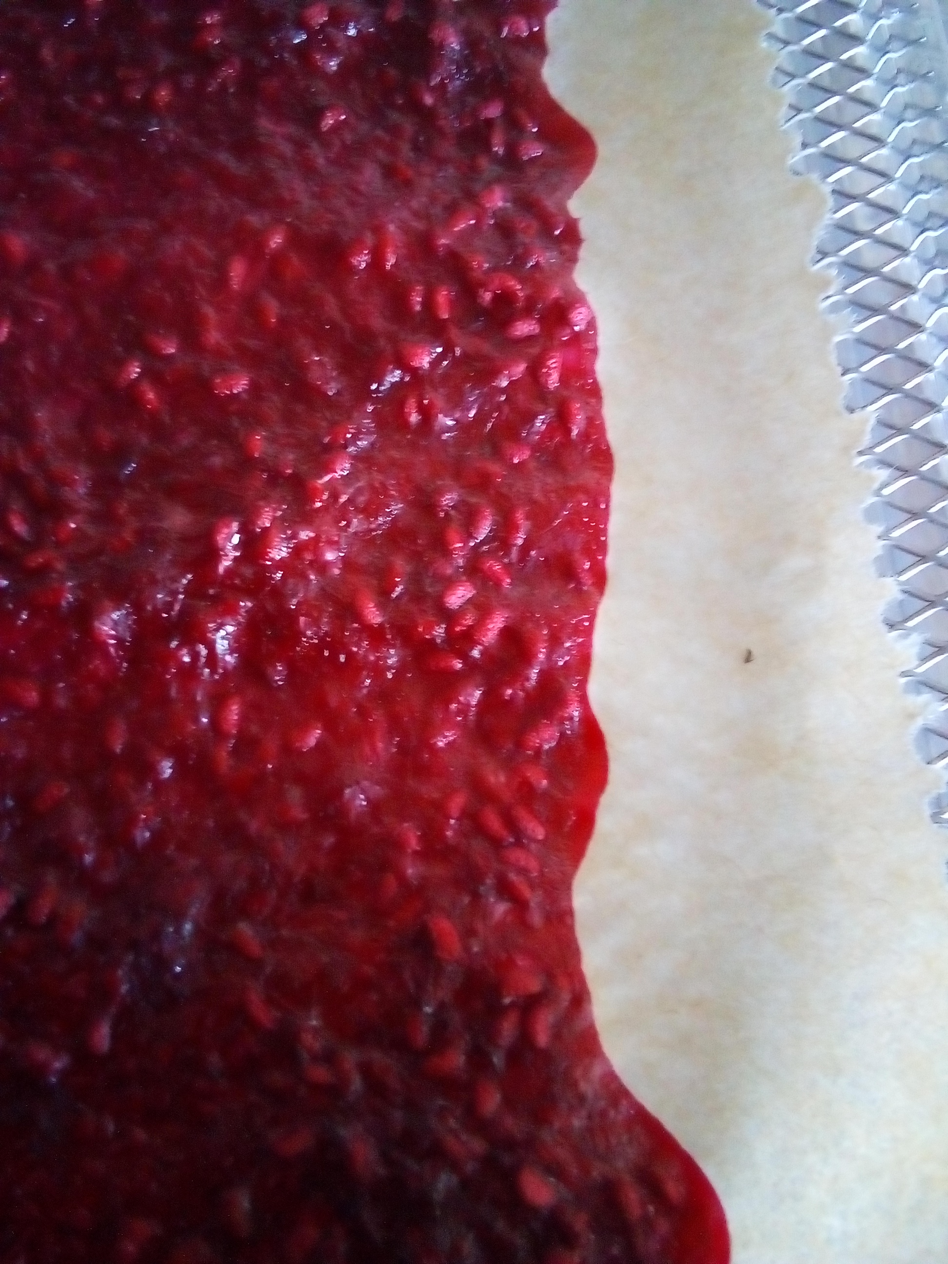 Step-by-step process of making fruit leather in a dehydrator.