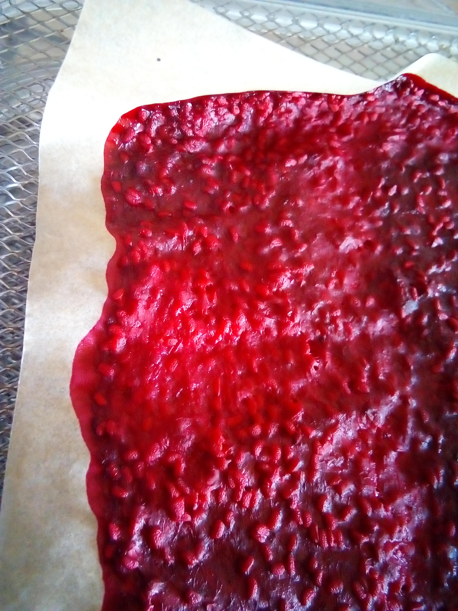 Homemade raspberry fruit leather rolled up on parchment paper.