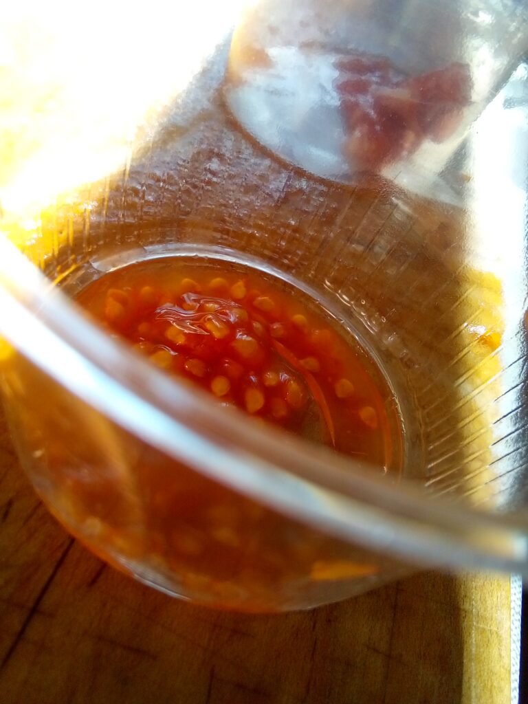 Step by step DIY tomato seed saving guide