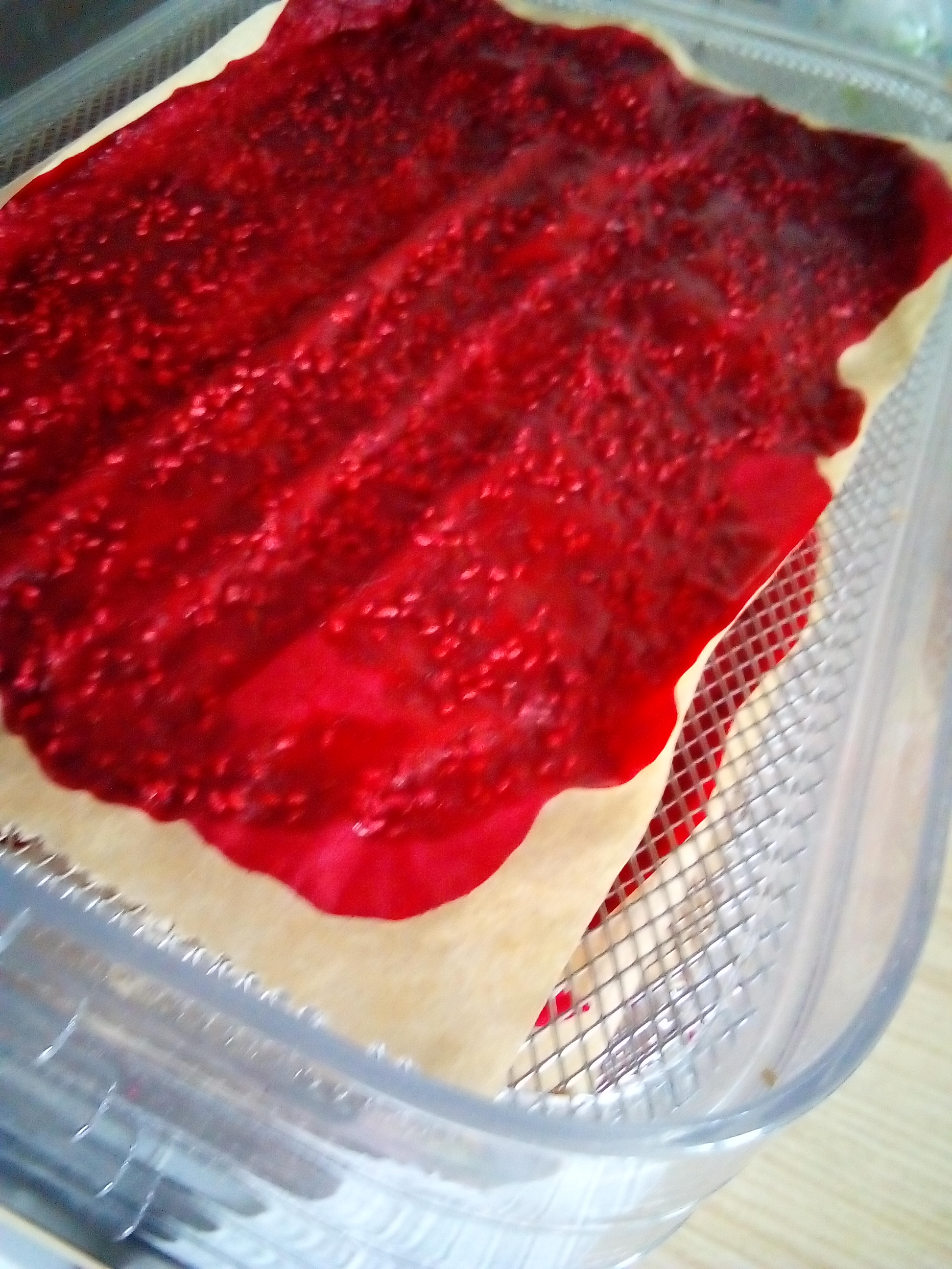 Jars and freezer bags with homemade fruit leather for long-term storage.