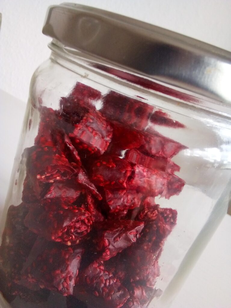Dehydrator set below 118 °F to preserve nutrients in raspberry fruit leather.