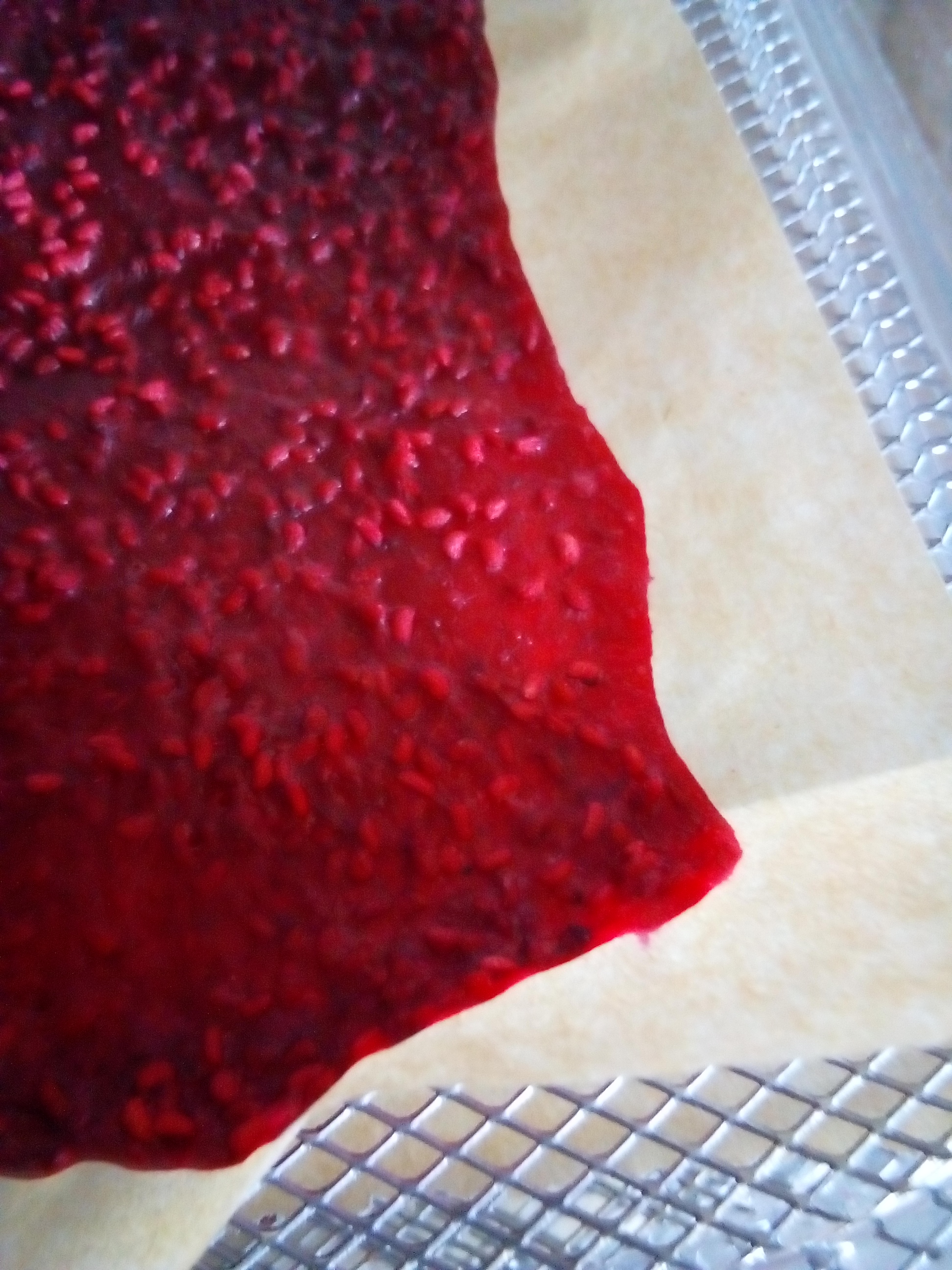 Dehydrator set at low temperature to preserve nutrients in fruit leather.