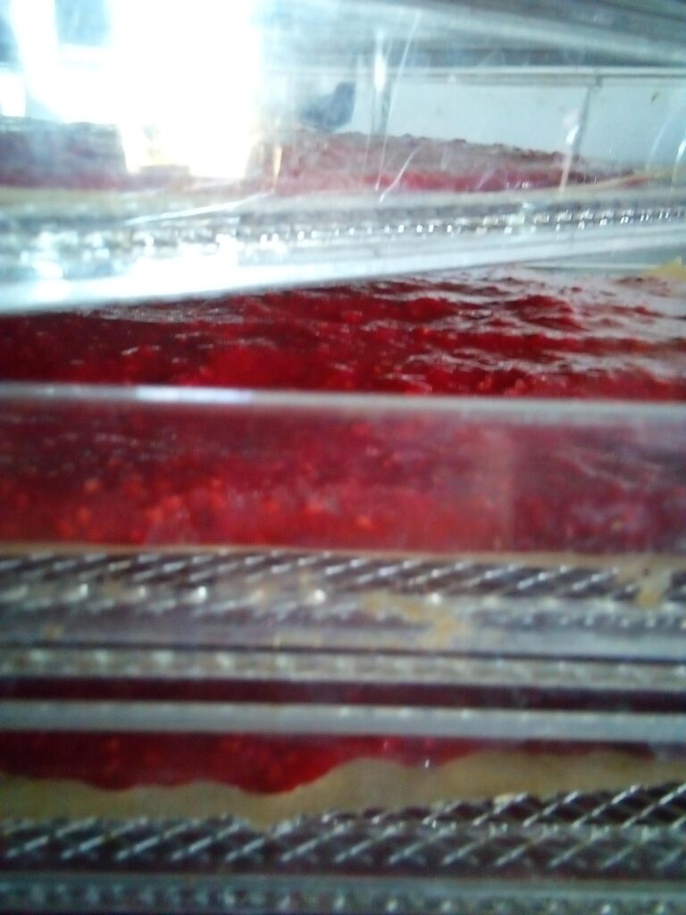 Stackable dehydrator trays filled with raspberry puree for fruit leather.