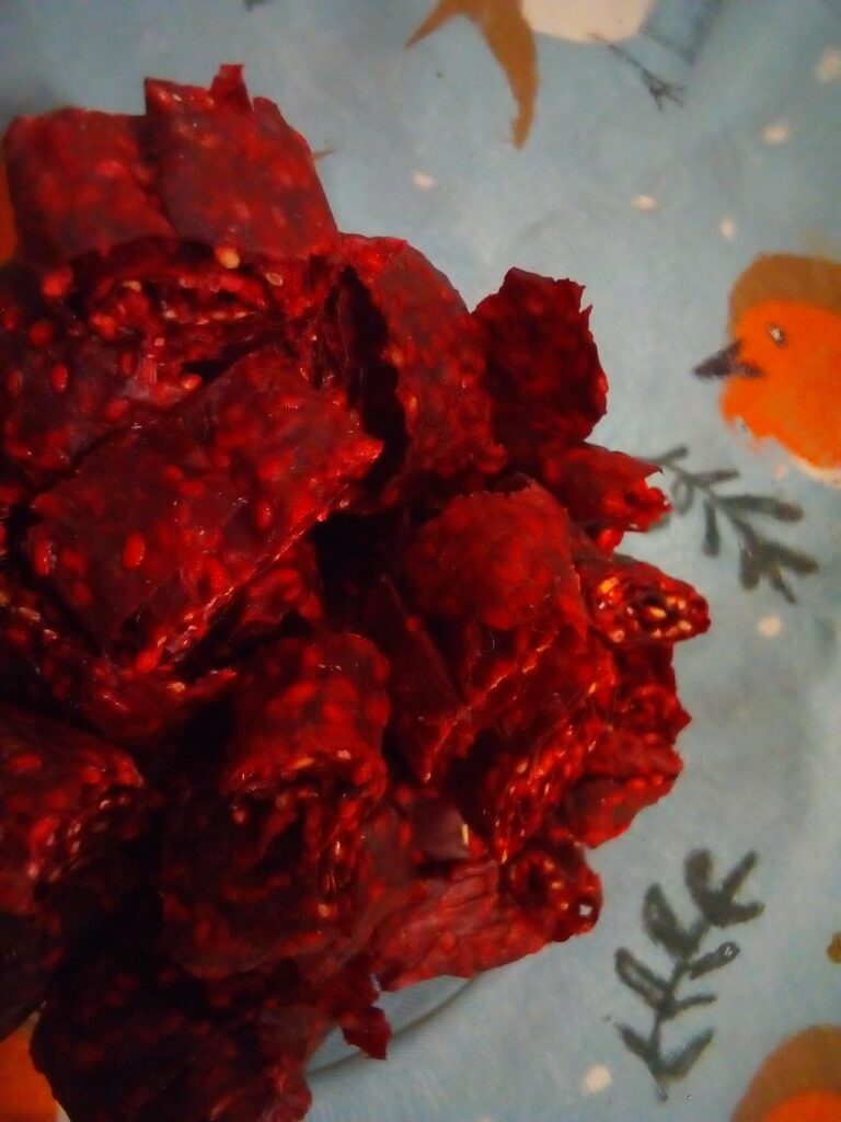 Dehydrator set below 118 °F to preserve nutrients in raspberry fruit leather.