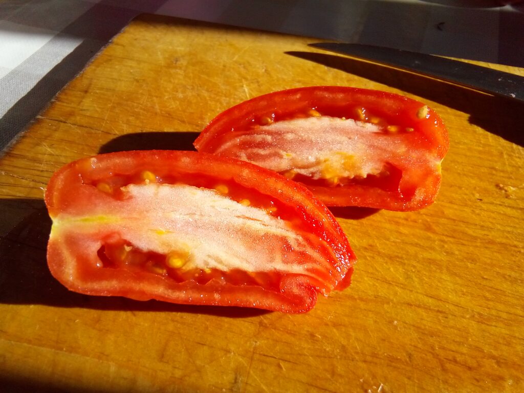 Tomato seeds saved while preparing fresh tomato salad