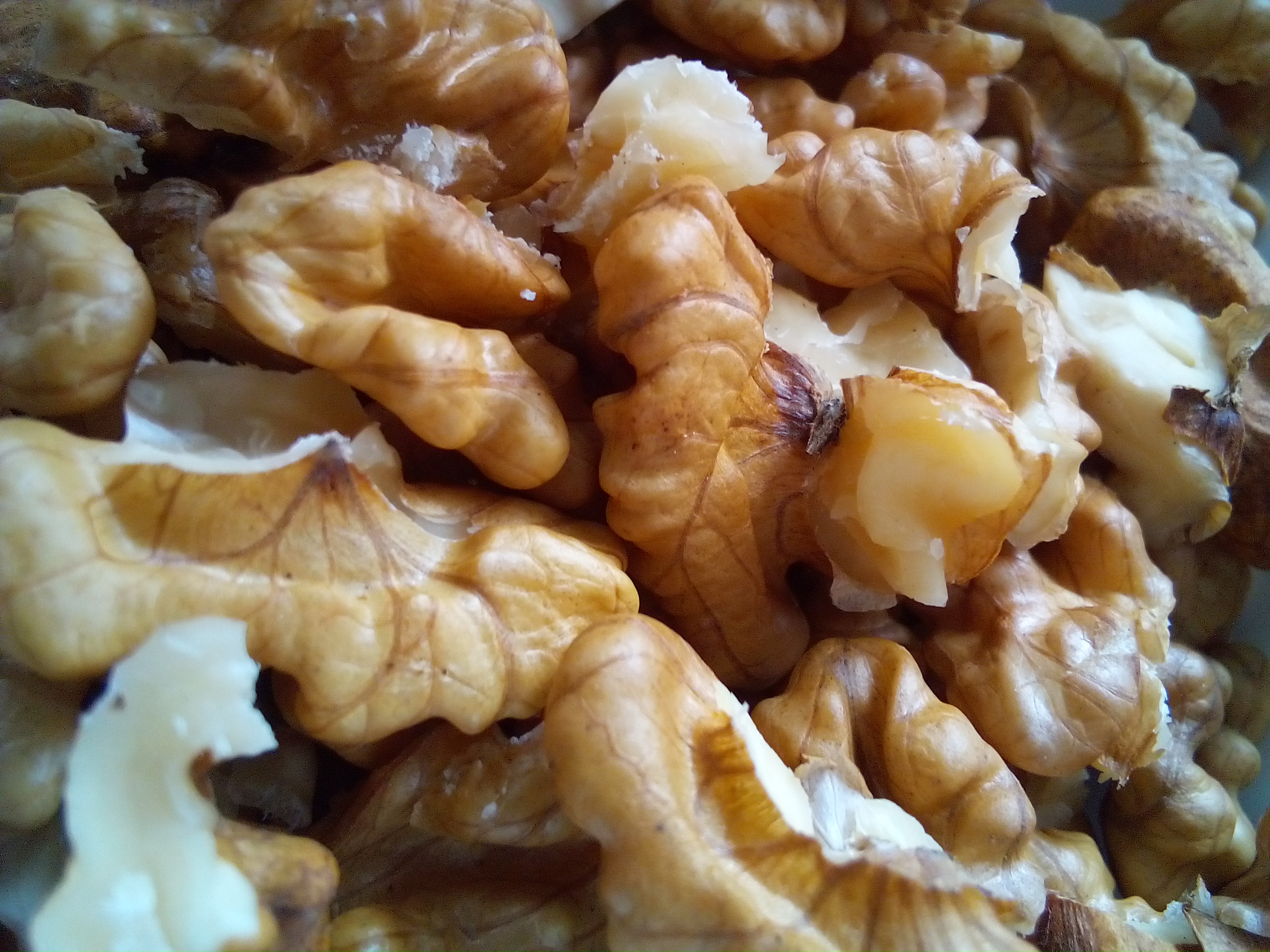 Walnut Recipes Healthy: Homemade Energy Bars