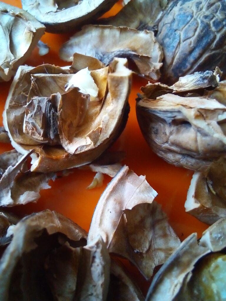 Walnut Recipes Healthy: Salad Topping with Walnuts