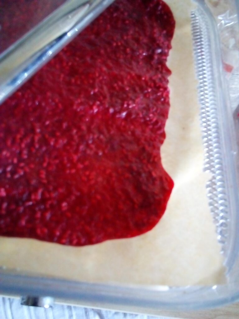 Sugar-free fruit leather cut into strips for a kid’s lunchbox.