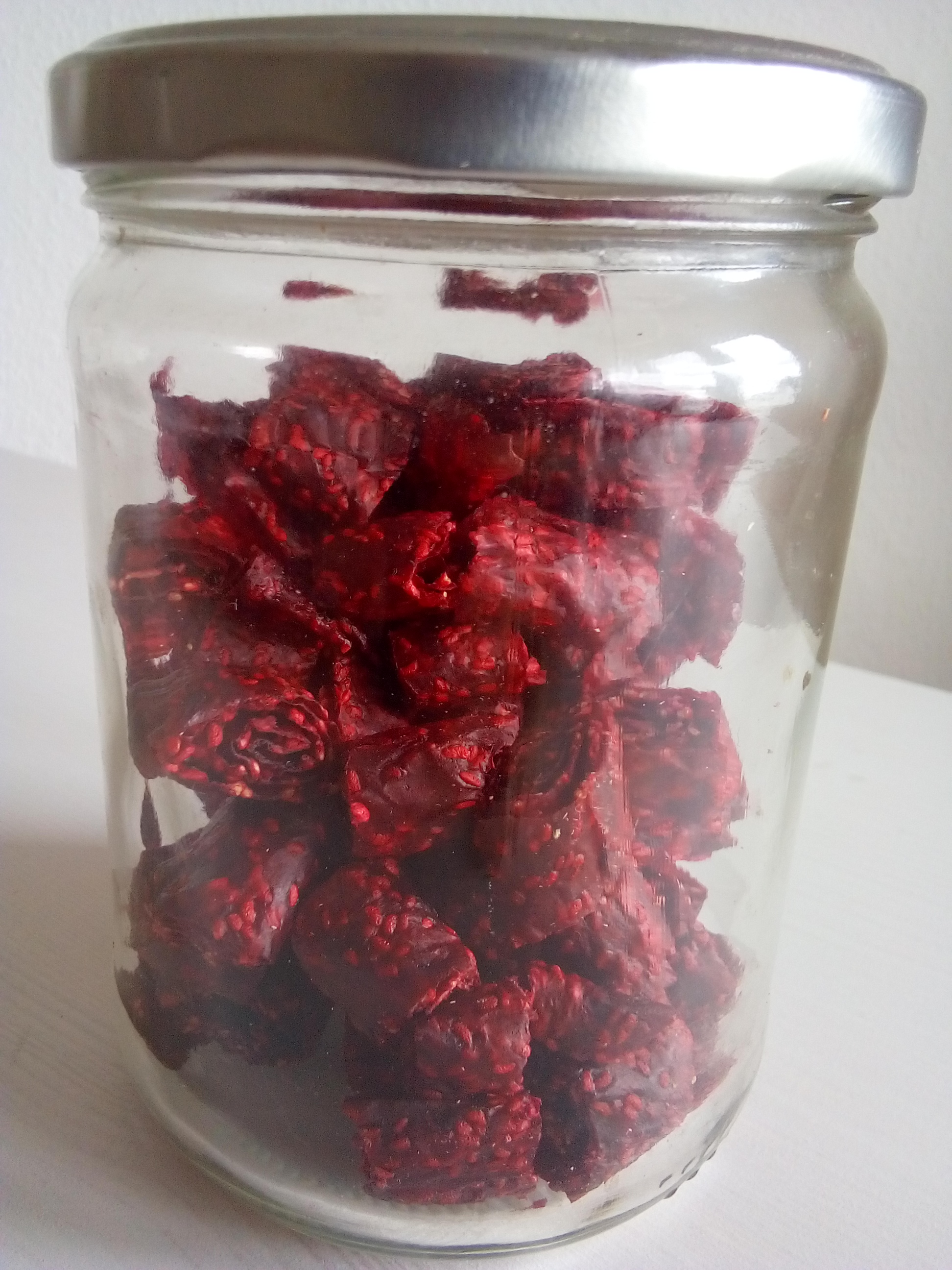 Homemade raspberry fruit leather strips rolled on parchment beside a food dehydrator.