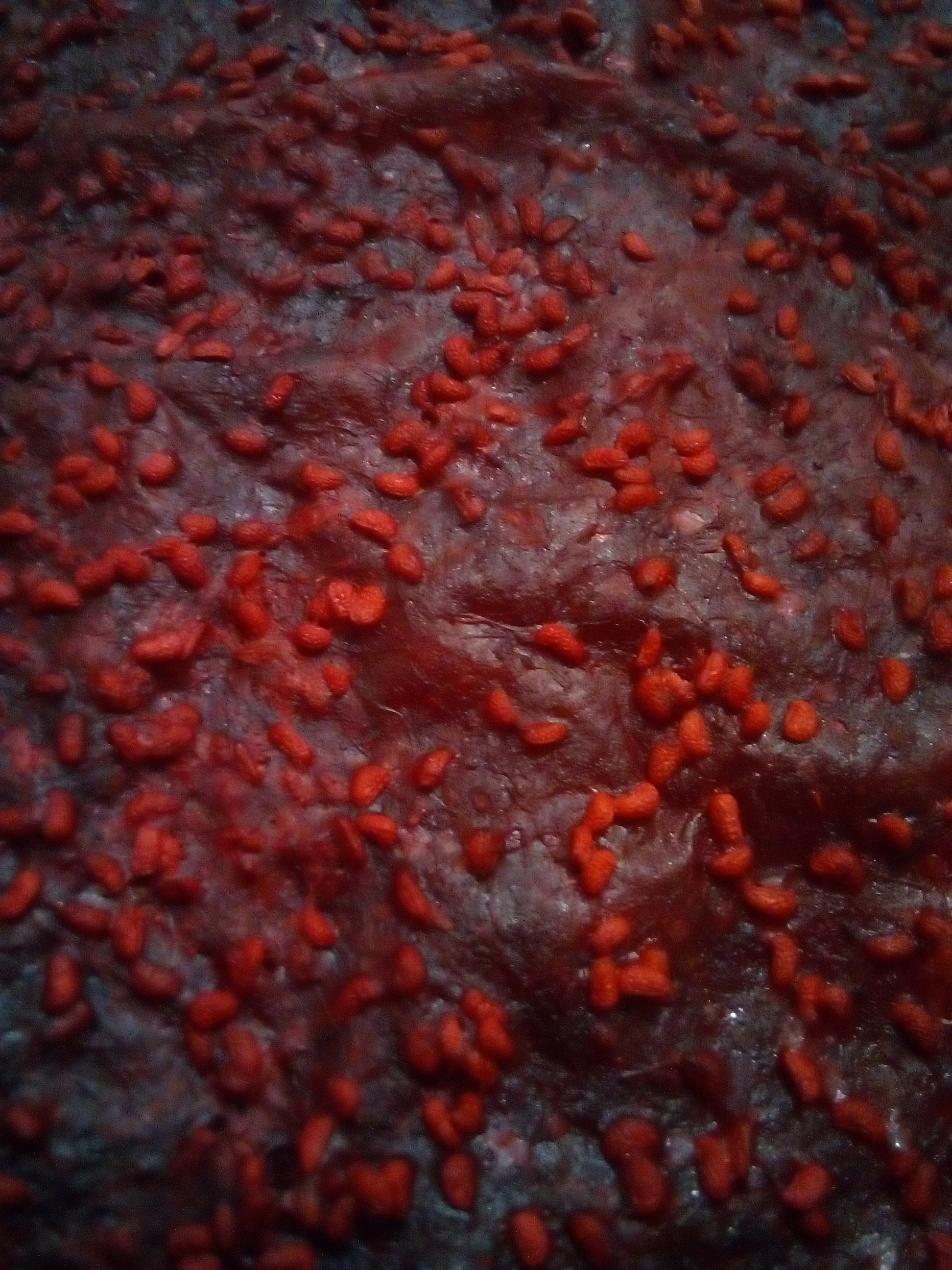 Raw fruit leather drying in a dehydrator at 118°F.
