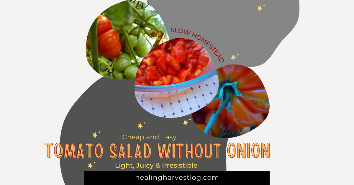 Simple tomato salad without onions served with olive oil and herbs