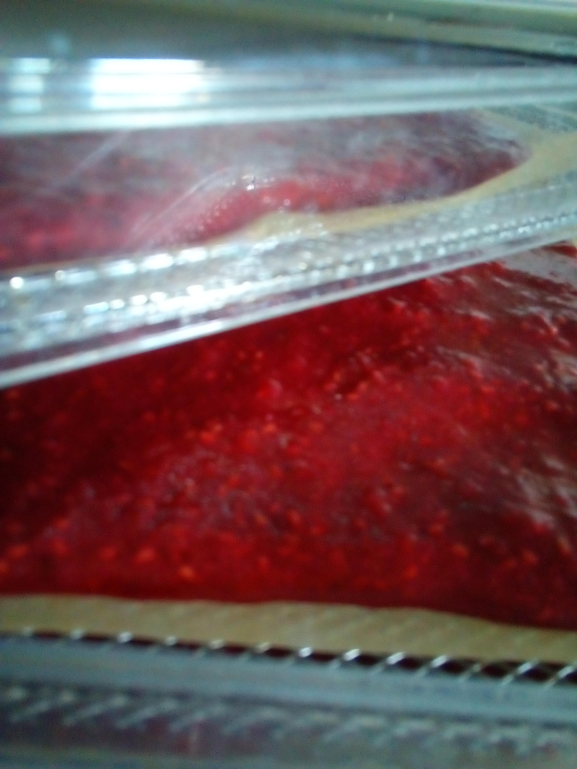 Raspberry puree spread on parchment in dehydrator tray for fruit leather.