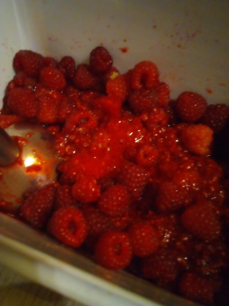 Raspberries being pureed in a blender before spreading for fruit leather.