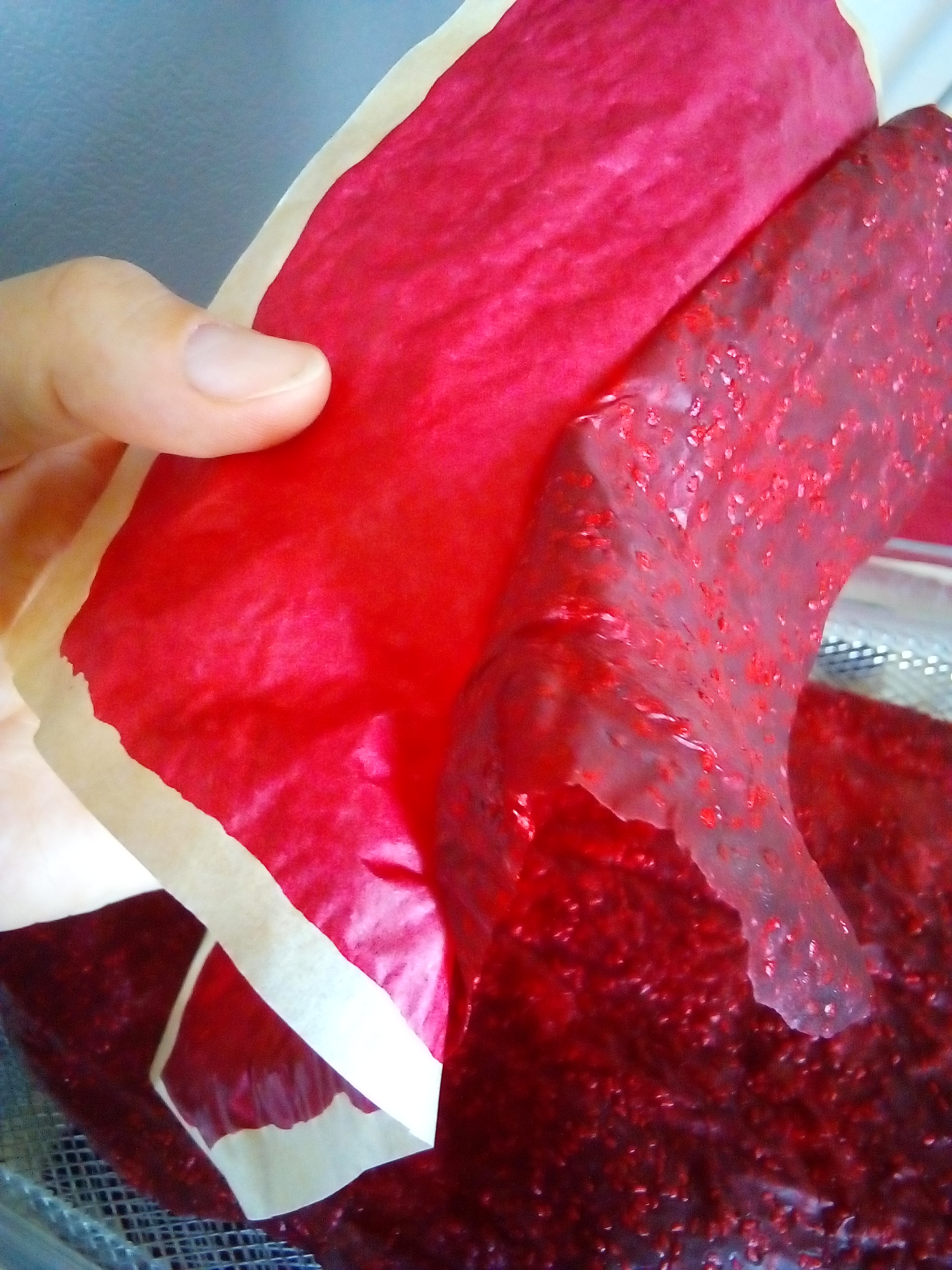 Colorful strips of homemade fruit leather packed in a school snack box.