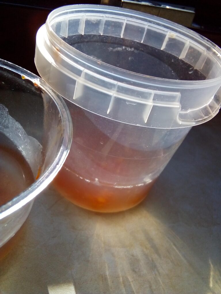 Clean fermented tomato seeds rinsed under water