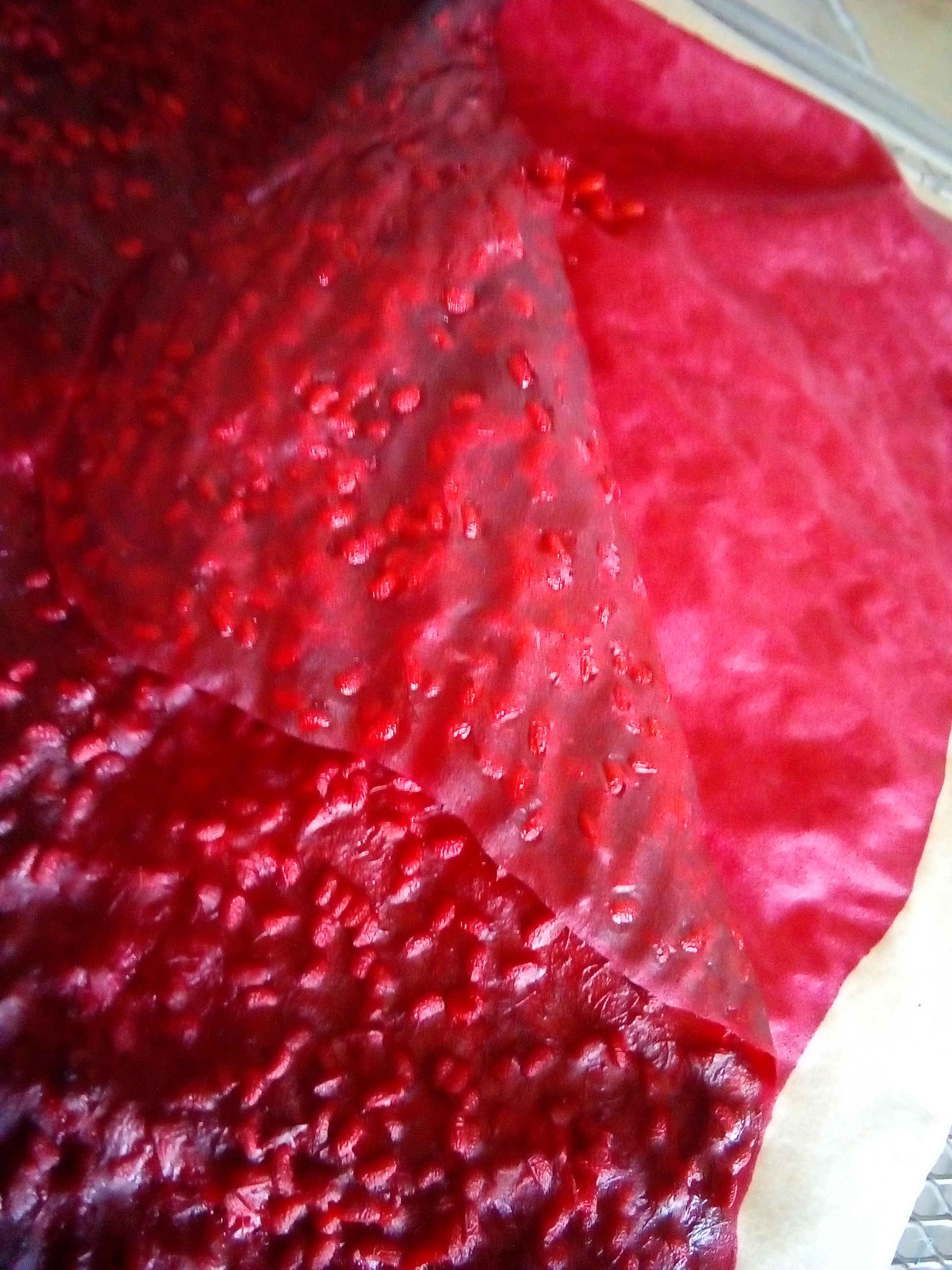 How to Make Fruit Leather in a Dehydrator: Dehydrator tray filled with apple and raspberry puree for fruit leather.