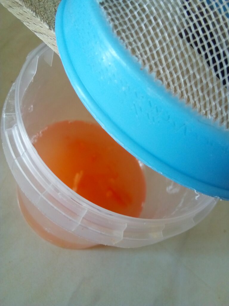 Ripe tomatoes with seeds collected in small bowl